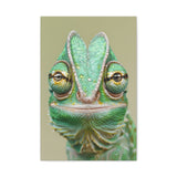 Vibrant Green Iguana Close-Up - 16x24 Canvas Wall Art | Lifelike Reptile Portrait for Nature & Animal Lovers Home Decor